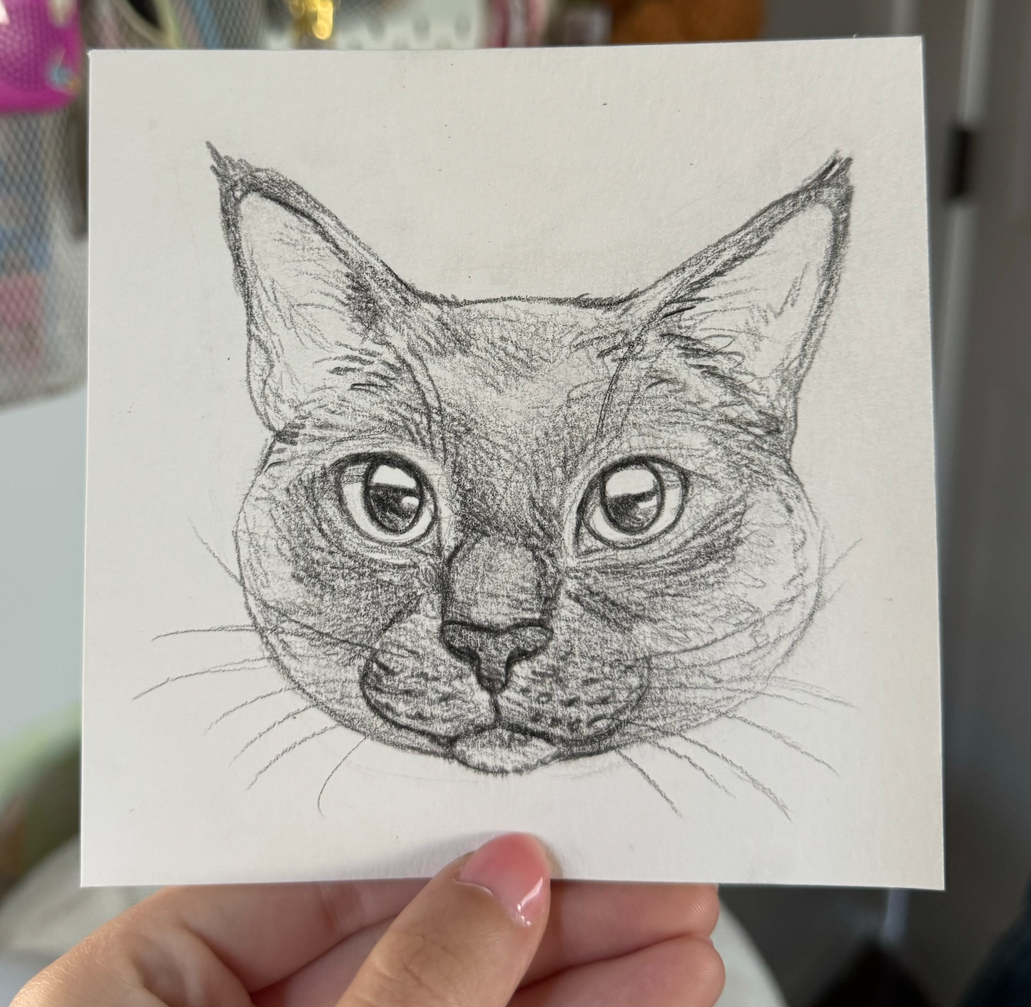 Custom Pet Portrait - Black and White Drawing 5"x5"