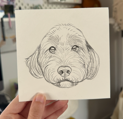 Custom Pet Portrait - Black and White Drawing 5"x5"